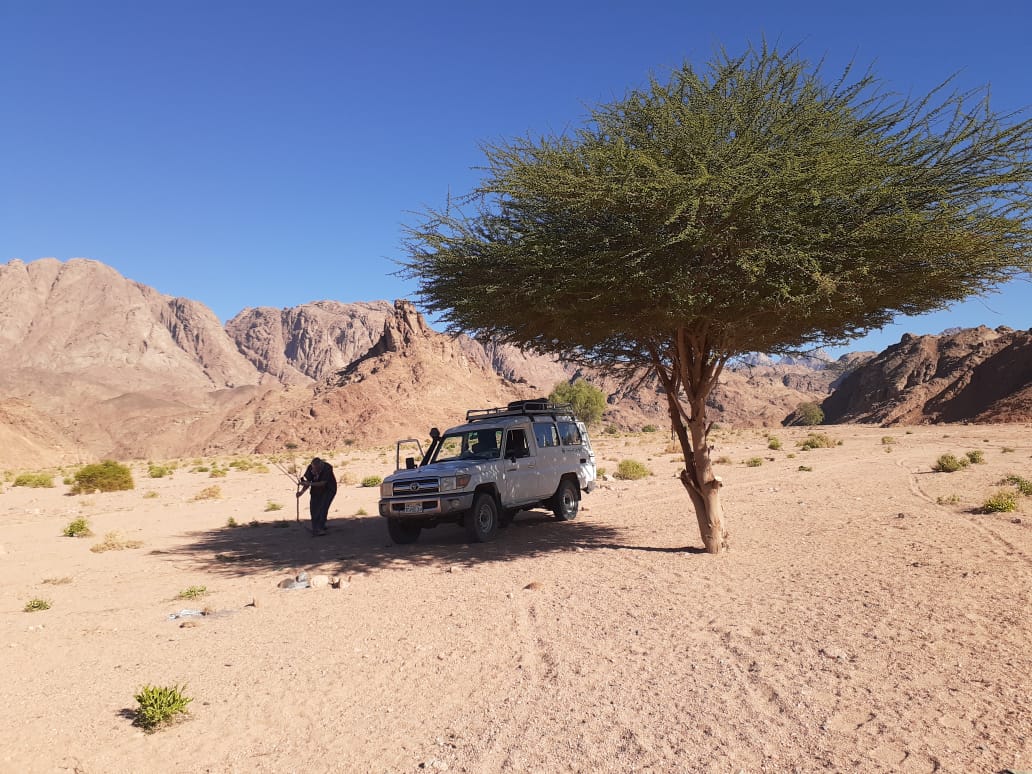 🚙 Super Safari / Sahara Park